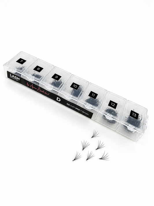 Lash Master Fertige Wimpern Fächer 5D MIX